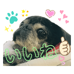 mochi_20200521212828