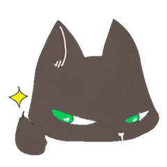 Cool black cat