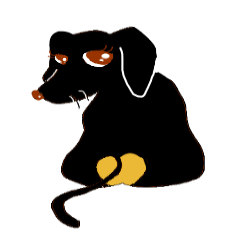 An expressive black dachshund