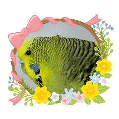 miyo_20200521213931