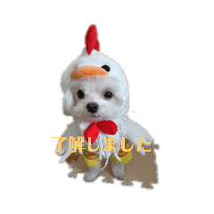 March_20200521220345