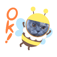 hana_nanana
