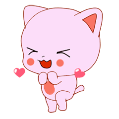  Cute pinky  cat