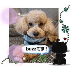 kero_buzz8