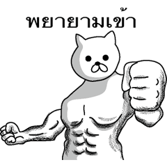 The Muscle white cat Thai version