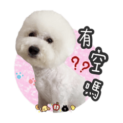 培根小兒莎莎日常