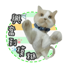 小王子的點滴