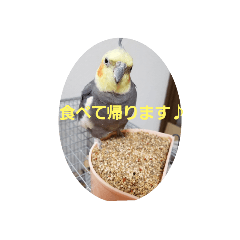yuyumaru_20200522115316