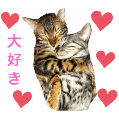 Yukari_Gisele_Viora_Rintaro