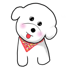 Cute Bichon Frise Mi Lu 