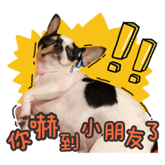 慵懶的饅頭