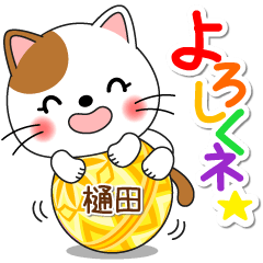 Miss Nyanko for HITA only [ver.1]