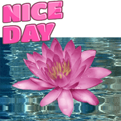 Floating and Raining Flowers