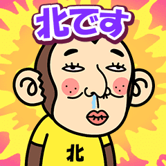 Kita. is a Funny Monkey2