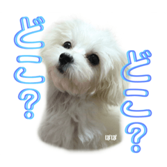 moon_20200521231232popo