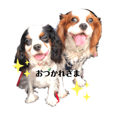 saya_20200522155507