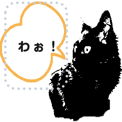猫のミミとジジの好きな言葉入力スタンプ Line スタンプ Line Store 猫のミミとジジの好きな言葉入力スタンプ Line スタンプ Line Store
