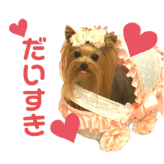 RINA_20200522185720