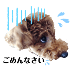 chibi_20200522145430