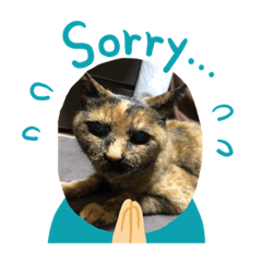 rikoto haru love0516