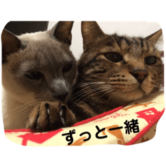 satoshi_20200522191853