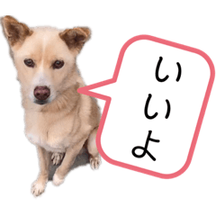 Smile_20200522175051