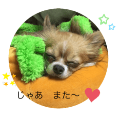 koko_20200522203803