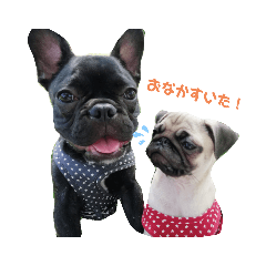 natsumi_20200522212159