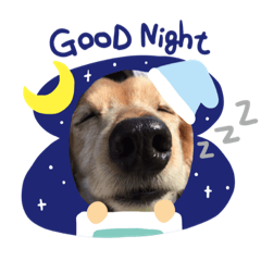 arisa_20200522175951