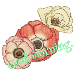 Hana_Message sticker of flower