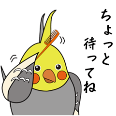 Cockatiel's daily life stickers