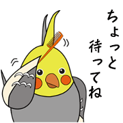 Cockatiel's daily life stickers