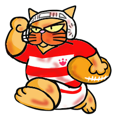 Rugby I Love Cat 1