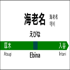 Sagami Line Station Name Label