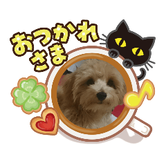 yuta_2020052223154219