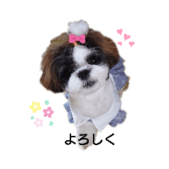 cocoa_20200522230328