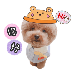 迪迪王子病