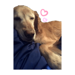 I'll always love you.