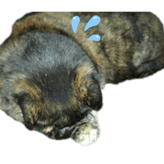 natsumi_20200522232542