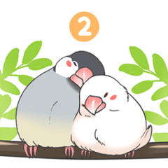 Sticker of a Java sparrow 2