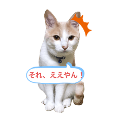 ken_20200523092023