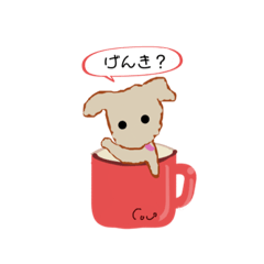 We love Coco forever!