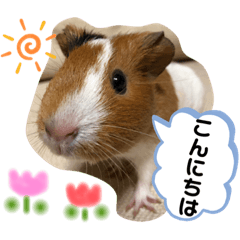 omochi_20200523111211