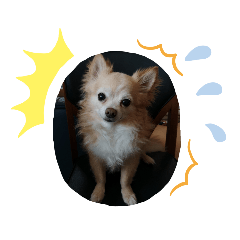 junko_20200523111259