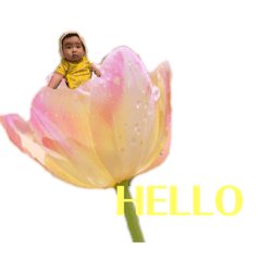 chisa_20200523110958