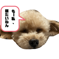 セブンの独り言