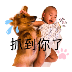 王阿凡是不是超級可愛