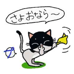 HACHI-NYAN,The happy cat