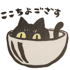 Gato preto-e-branco (válvula Hakata)