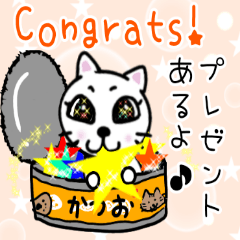 White cat P-chan .congratulations.